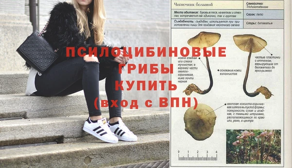МДМА Протвино