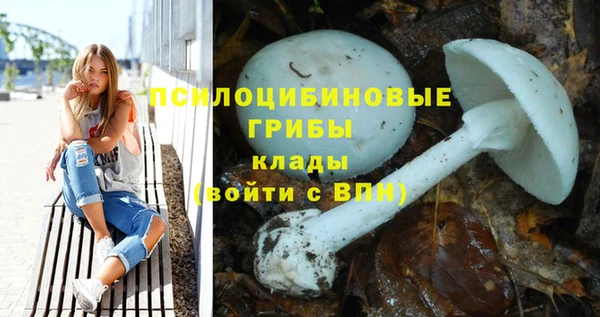 PSILOCYBIN Арсеньев
