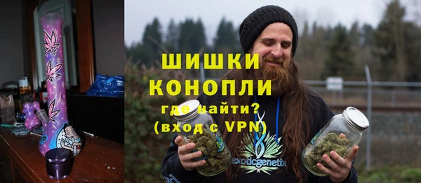PSILOCYBIN Аркадак
